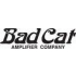 Bad Cat