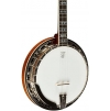 Folk and Traditional Stringed Instruments