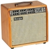 Guitar Amplifiers for Practice and Stage