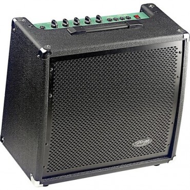 Stagg 60 Watt 12" Bass Amplifier Black Stagg 60 Watt 12" Bass Amplifier Black