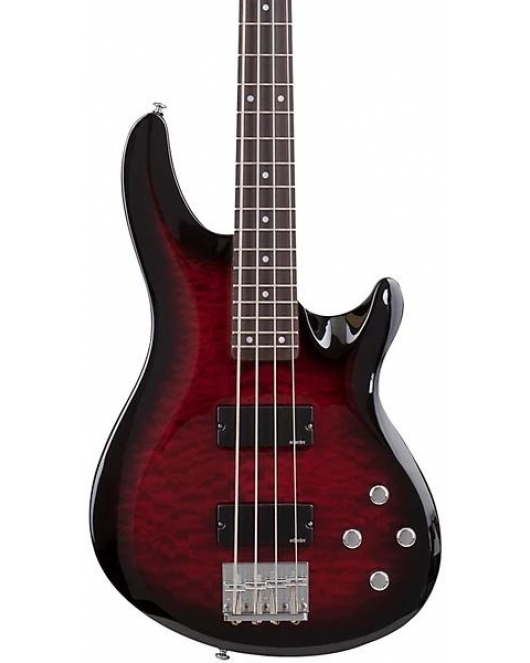 Schecter C4 Plus Electric Bass Schecter C4 Plus Electric Bass