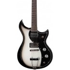 Dunable Guitars Cycl...