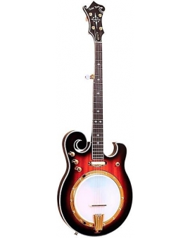 Gold Tone EBM-5 Electric Solidbody 5-String Banjo For Left Hand Players Sunburst