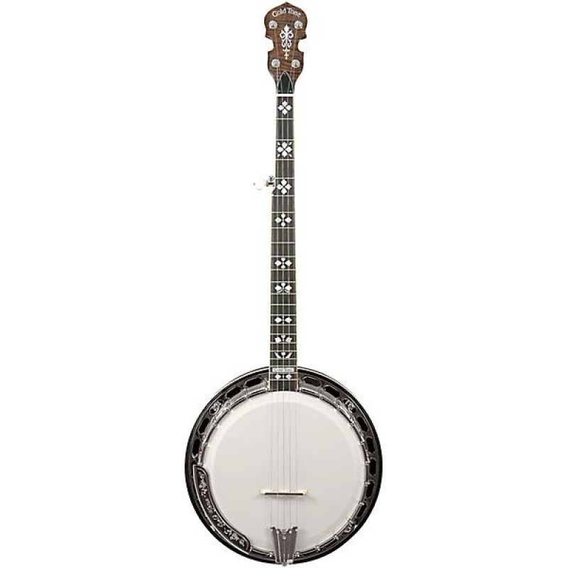 Gold Tone OB-250AT professional archtop bluegrass banjo vintage brown high quality instrument ideal for bluegrass and folk players