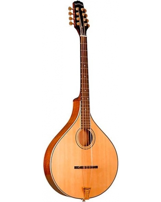 Gold Tone OM-800+ Left-Handed Octave Mandolin Gold Tone OM-800+ Left-Handed Octave Mandolin