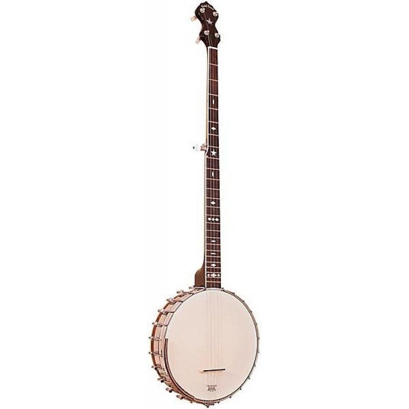 Gold Tone OT-800LN Old Time long neck banjo with case vintage brown high quality instrument ideal for bluegrass and folk players