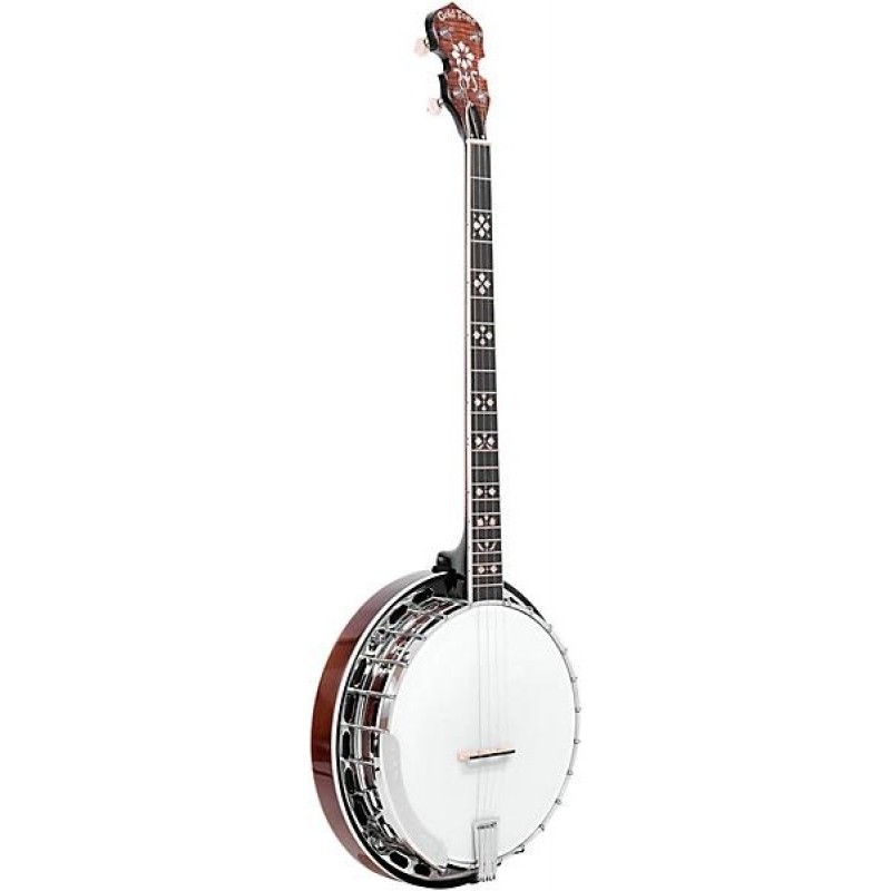 Gold Tone PS-250 Plectrum Special Banjo vintage brown high quality instrument perfect for bluegrass and folk music players