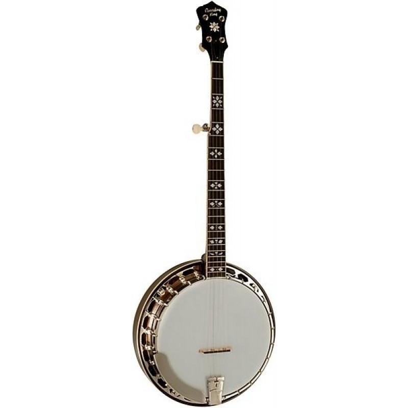 Recording King RK-R20 Songster Banjo Bluegrass Series rich tone and durable craftsmanship ideal for professional musicians and banjo enthusiasts