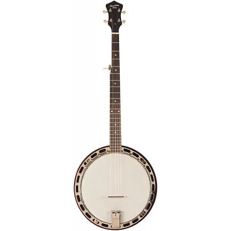 Recording King RKH-05 Dirty 30s resonator banjo vintage tone and professional craftsmanship perfect for musicians and performers