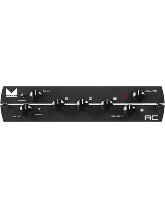 Synergy Morgan AC Tube Preamp Module for Boutique Tone
