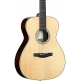 Acoustic Guitars