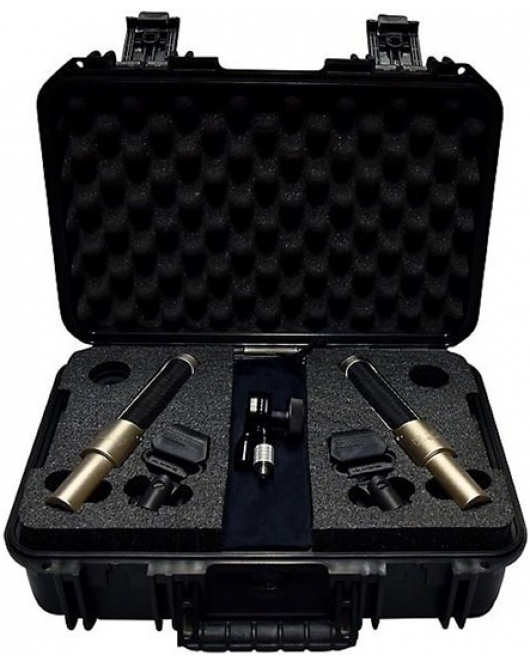 AEA N22 Stereo Microphone Kit for Studio Recording