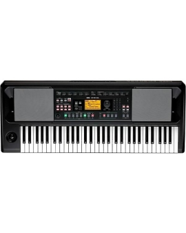 KORG EK-50 CSA 61-Key Arranger Keyboard